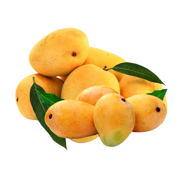 mango Photoroom
